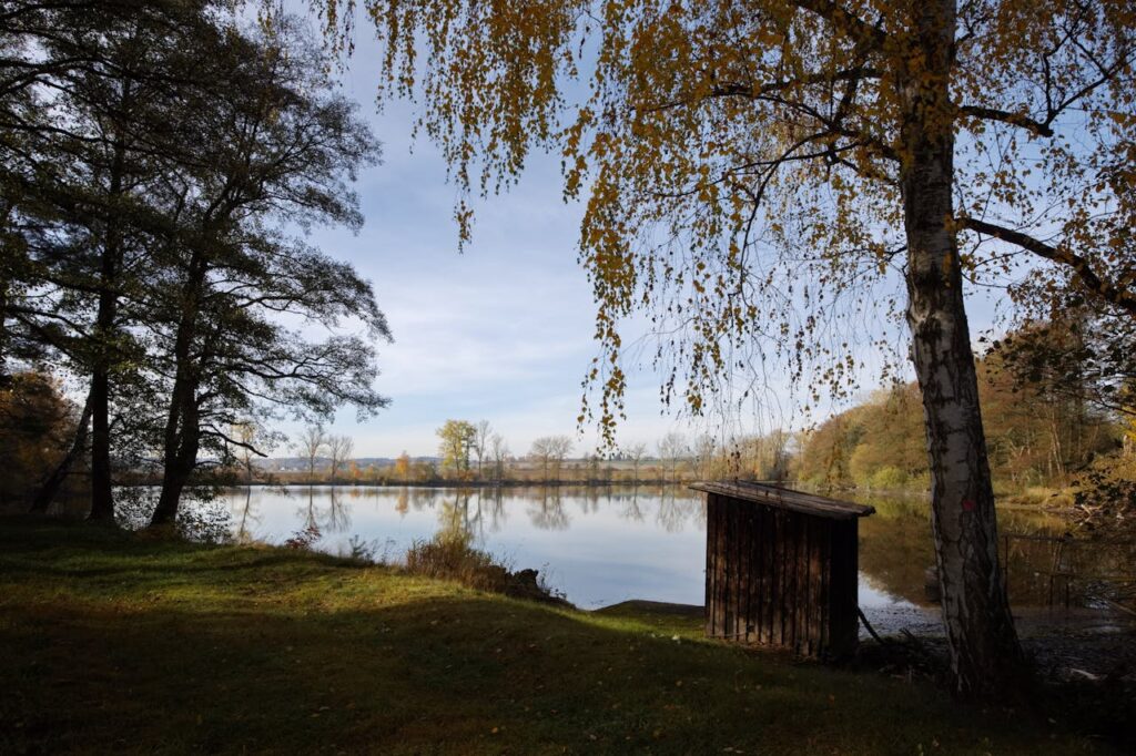 Tranquil autumn landscape featuring a lake, trees, and a rustic shack.